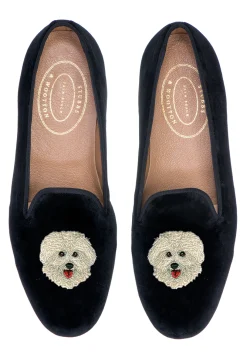 Bichon Frise (Men)