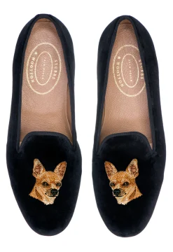 Chihuahua (Men)