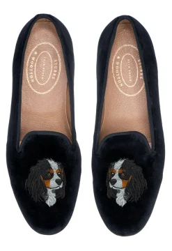 King Charles Cavalier (Men)