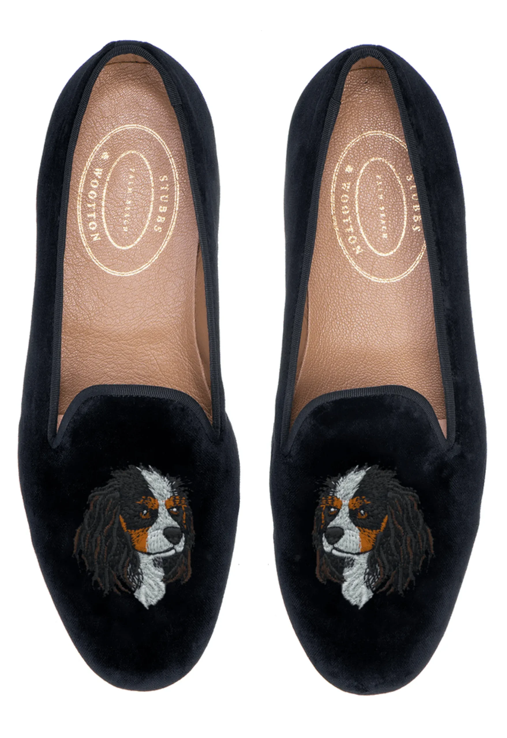 King Charles Cavalier (Men)