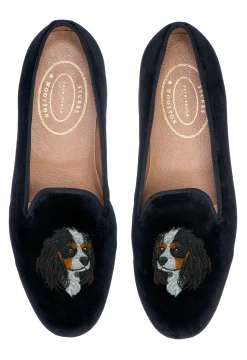 King Charles Cavalier (Women)