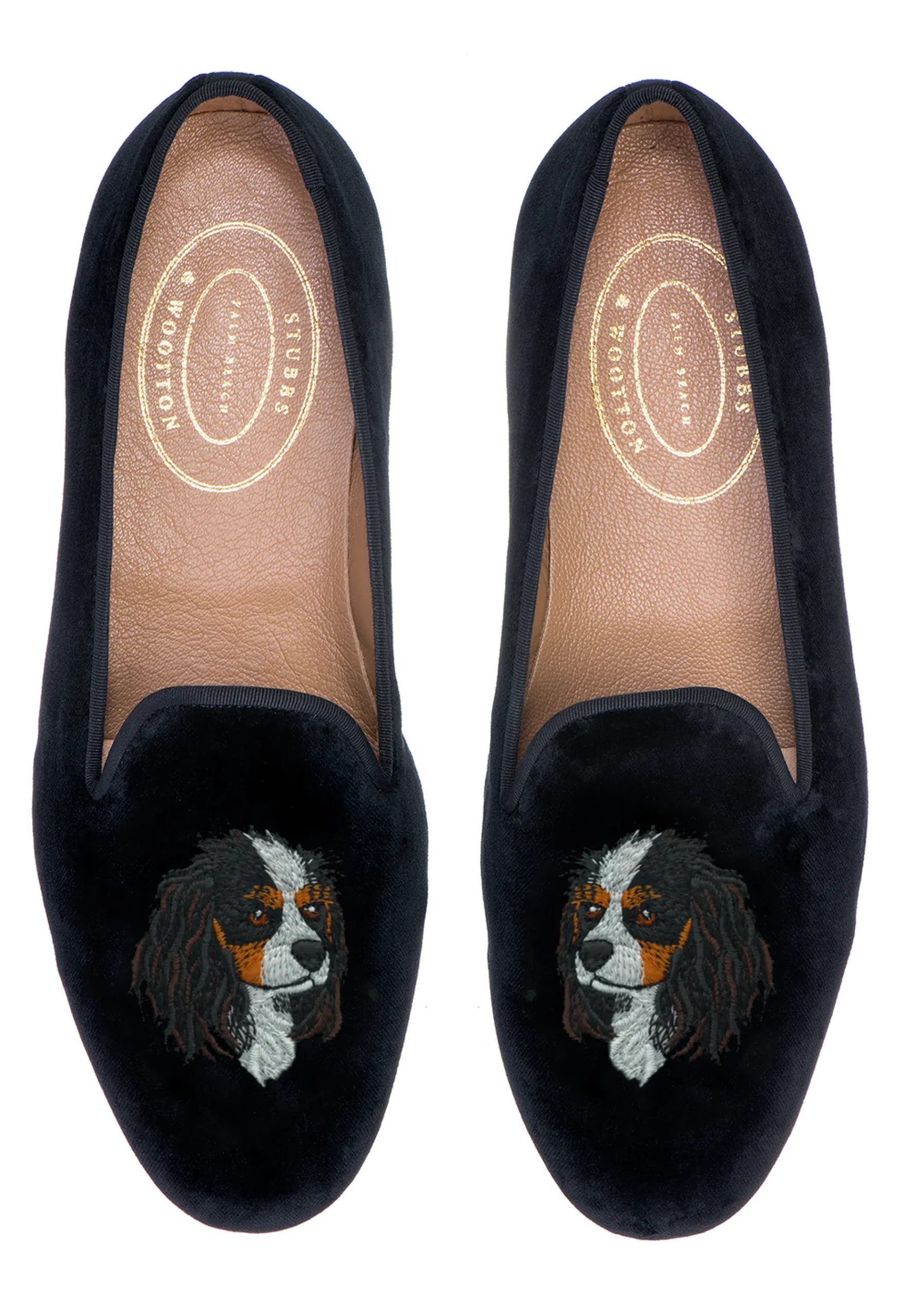 King Charles Cavalier (Women)